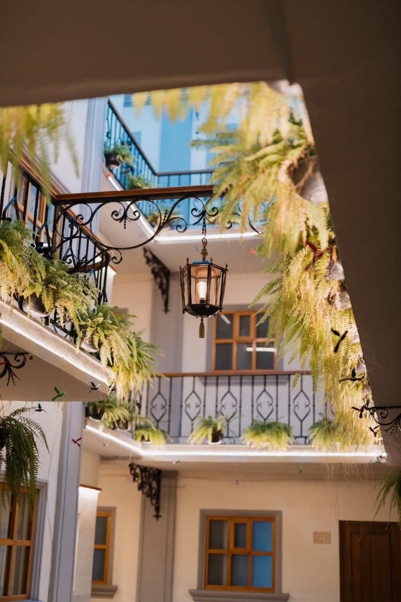Hotel Marques Del Valle Oaxaca Екстер'єр фото